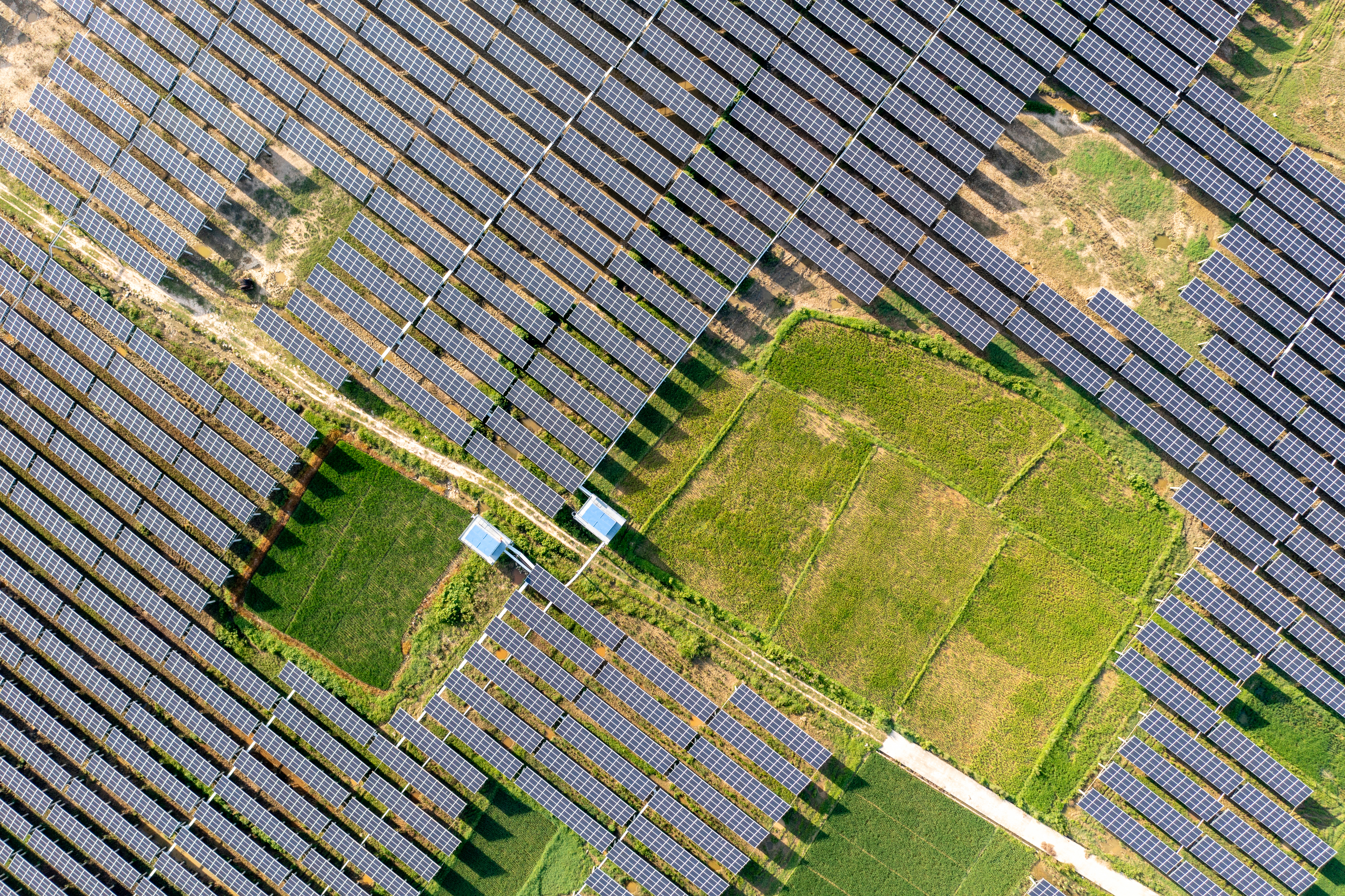 Solar image